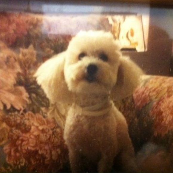 Meet your Posher, Pantanassa - Picture 1 of 1